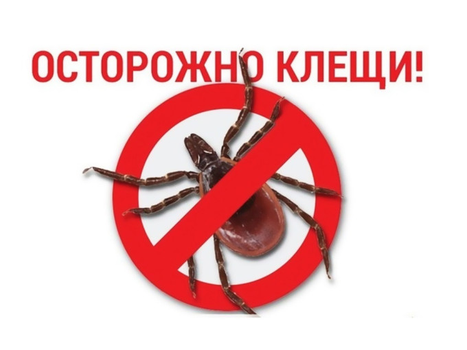 Риск укусов клещей Риск укусов клещей.